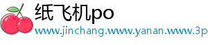 纸飞机po